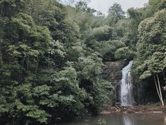 -江西阳明山国家森林公园