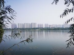 -永定河休闲森林公园