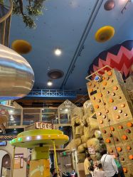 -卡通尼·Safari非洲探索乐园·生日会(金桥国际商业广场店)