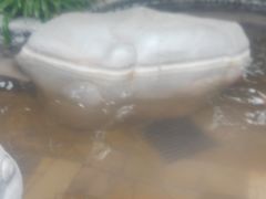 -碧水湾温泉