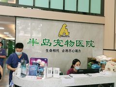 -半岛宠物医院24小时(科华中路店)