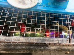 -马子全羊(堤口路店)
