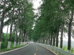-百里山水画廊