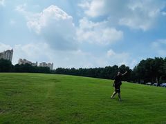 -暨阳湖生态园