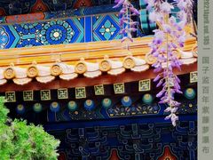 -北京国子监胡同