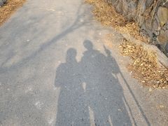 -北京鹫峰国家森林公园