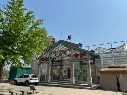 -蓝呗呗蓝莓草莓采摘园(通州区马驹桥店)