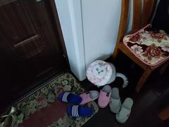 -哆趣宠物医院·眼科·内镜·急重症转诊中心(上海店)