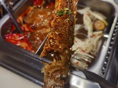 美蛙鸳鸯锅-重庆高老九火锅(文峰广场店)
