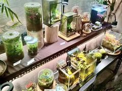 -首都电影院(金融街店 杜比全景声)