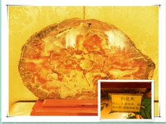 -聚宝渔港.五钻酒家(上地店)