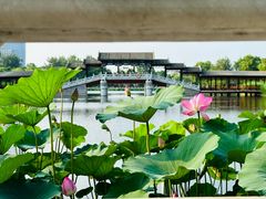 -西海子公园