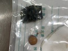 -谐和贝康宠物医院24小时·宠保定点(急重症转诊中心)