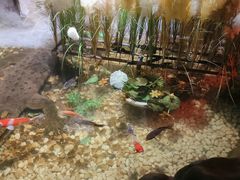 -洛阳龙门海洋馆