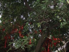 -太和古洞