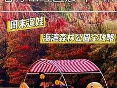 -上海海湾国家森林公园