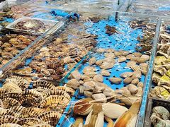 -大连湾旭日·家宴·海肠捞饭(马栏广场店)