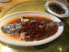 -胖大姐黄辣丁鱼庄(新津店)