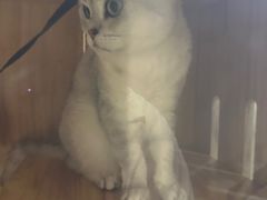 -津菜宋记老房子(鼓楼店)
