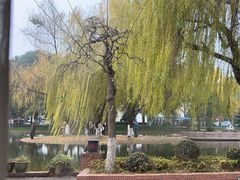 -橘洲1925湖湘餐厅