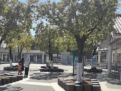 -自然谷恐龙园