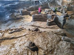 -自贡恐龙博物馆