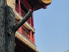 -钦赐仰殿道观