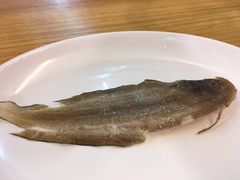 -长平老姿娘夜粥(平东一街店)