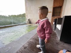 -北京海湾半山酒店-加咖啡西餐厅