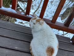 -终南山南五台景区