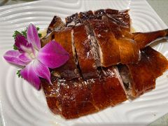 新发烧鹅-香港新发烧腊茶餐厅(书城店)