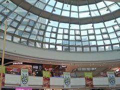 -老板恋上鱼(高新万达店)
