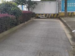 -贡湖湾湿地公园