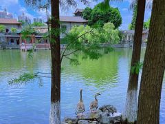 -东莞市可园博物馆