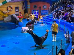 -烟台海昌鲸鲨海洋公园