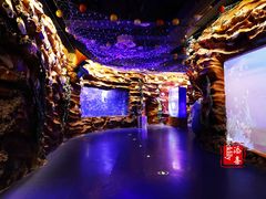 -芜湖新华联大白鲸海洋公园