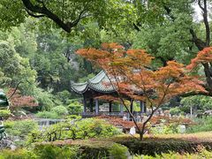 -申粤轩酒楼·三十年粤菜经典(丁香花园店)