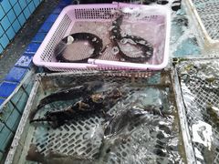 -霞涌市场海鲜摆卖区