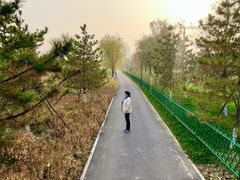 -永定河休闲森林公园