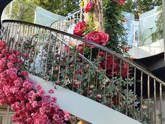 -洛阳市隋唐城遗址植物园