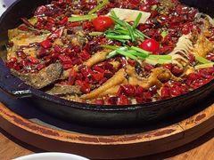 -老板恋上鱼(恒隆广场店)