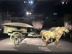 -秦始皇帝陵博物院(兵马俑)