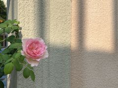 -中国农业大学(西校区)