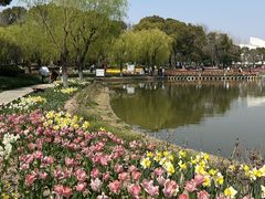 -上海鲜花港