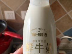 蒙牛每日鲜语-果蔬好生活超市(双井店)