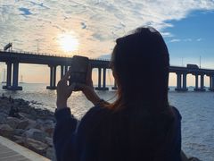 -宝安西湾红树林湿地公园