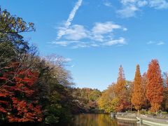 -井之头恩赐公园