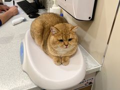 -萌兽医馆·犬猫专科·眼科中心·宠物医院(朝阳门分院)