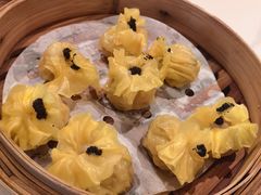 -点都德·毕德寮