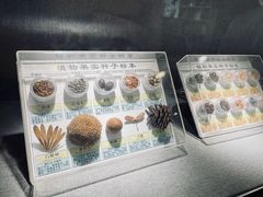 -南京市规划建设展览馆